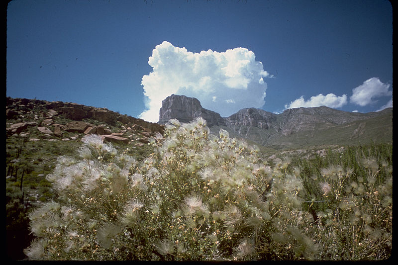 File:Guadalupe Mountains National Park GUMO4824.jpg