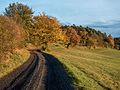 * Nomination Autumn colored trees above Kirchlauter in the nature park Haßberge --Ermell 06:41, 1 June 2017 (UTC) * Promotion Good quality. --Jacek Halicki 07:14, 1 June 2017 (UTC)