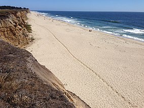 Half Moon Bay лошадь path.jpg 