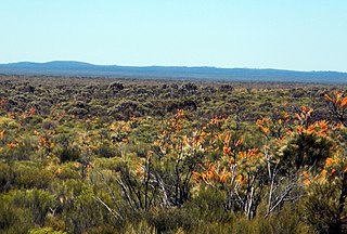 <span class="mw-page-title-main">Helena and Aurora Range</span> Mountain range in Western Australia