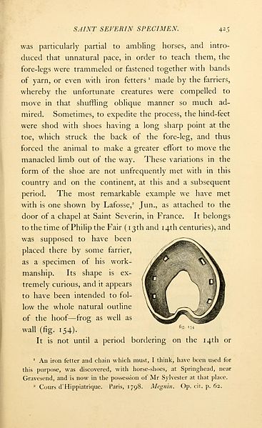 File:Horse-shoes and horse-shoeing (Page 425) BHL22420486.jpg