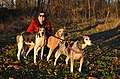 Hounds at the Golden Hour (32548600301).jpg