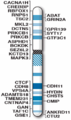 Human chromosome 16 with ASD genes from IJMS-16-06464.png