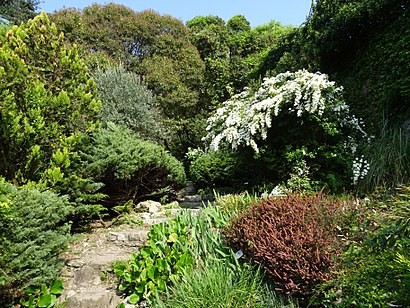 Come arrivare a Il giardino della valle con i mezzi pubblici - Informazioni sul luogo