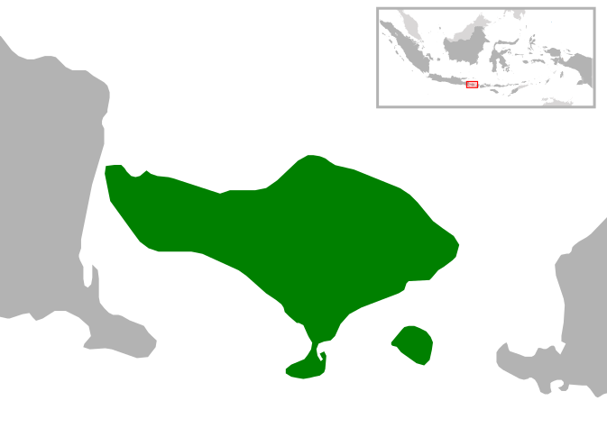 File:Indonesia Bali location.svg