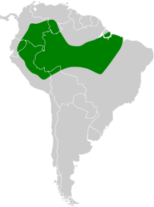 Iodopleura isabellae map.svg