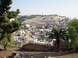 L'Ophel e, sullo sfondo, il Monte degli Ulivi.