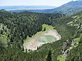 Foreste di conifere intorno al lago Jablan, nel parco nazionale del Durmitor, in Montenegro