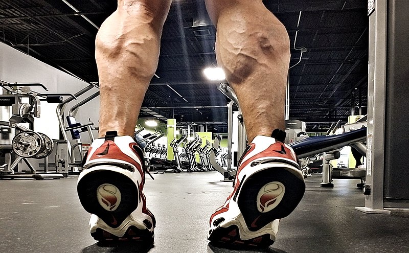 File:John Quinlan Training Calves 5-19-2018.jpg