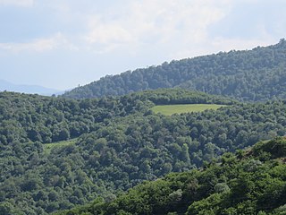 Scenery around Varagavan