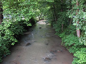 Kellys Creek WV.jpg