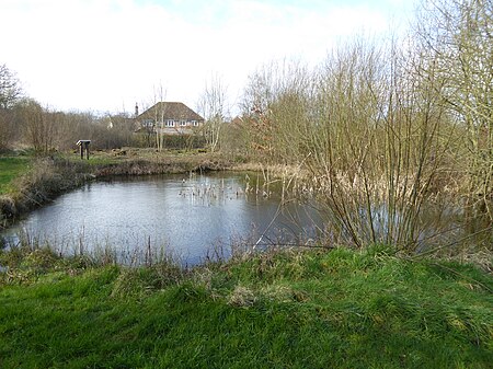 Kintbury Newt Ponds (1)