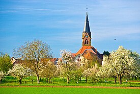 Kirche Schwanau-Nonnenweier Foto MS N1176.jpg