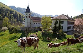 Beinwil Manastırı