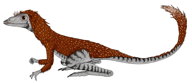 Tiny dinosaur was the size of a coffee cup 640px-Kongonaphon_life_restoration