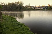 Čeština: Královský rybník v Rudolfově, okres České Budějovice. English: Královský rybník (King's Pond) in Rudolfov, České Budějovice district, Czechia.