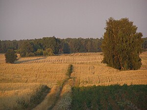 Makovas apriņķa ainava