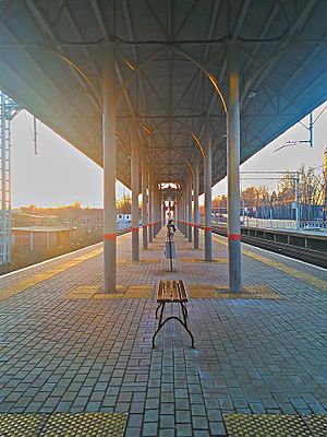 Кучино platform.jpg