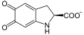 de: Struktur von L-Dopachrom; en: Structure of L-dopachrome