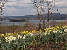 The eponymous Brome Lake. Lac Brome 2009.jpg