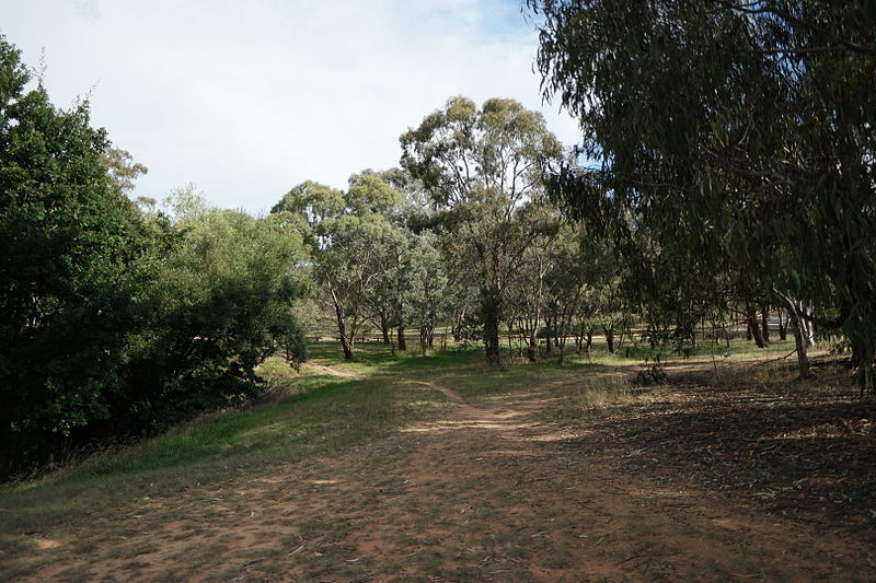 File:Lake Burley Griffin view from between Blue Gum Point and Attunga Point 012.JPG