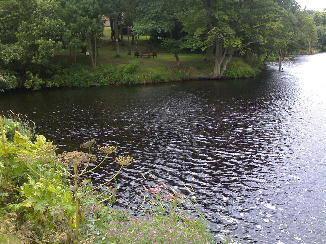 River Leven, North Yorkshire