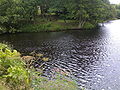 Thumbnail for River Leven, North Yorkshire