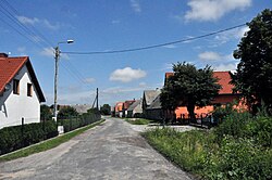 Road in the village