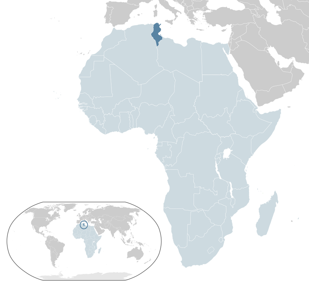 Location of Tunisia (dark blue) in Africa (light blue)