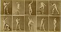 Louis Jean-Baptiste Igout, Studies in the male nude, 1870/80 ca.