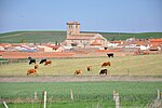 Miniatura para Tierra de Peñaranda