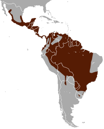 File:Margay area.png