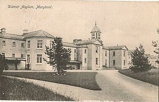 <span class="mw-page-title-main">St. Fintan's Hospital</span> Hospital in County Laois, Ireland