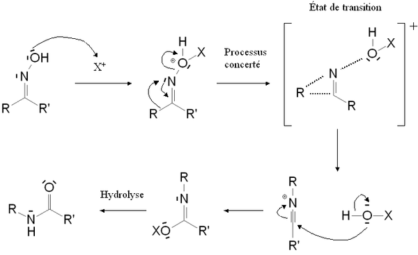 Mecanisme rearrangement Beckmann.PNG