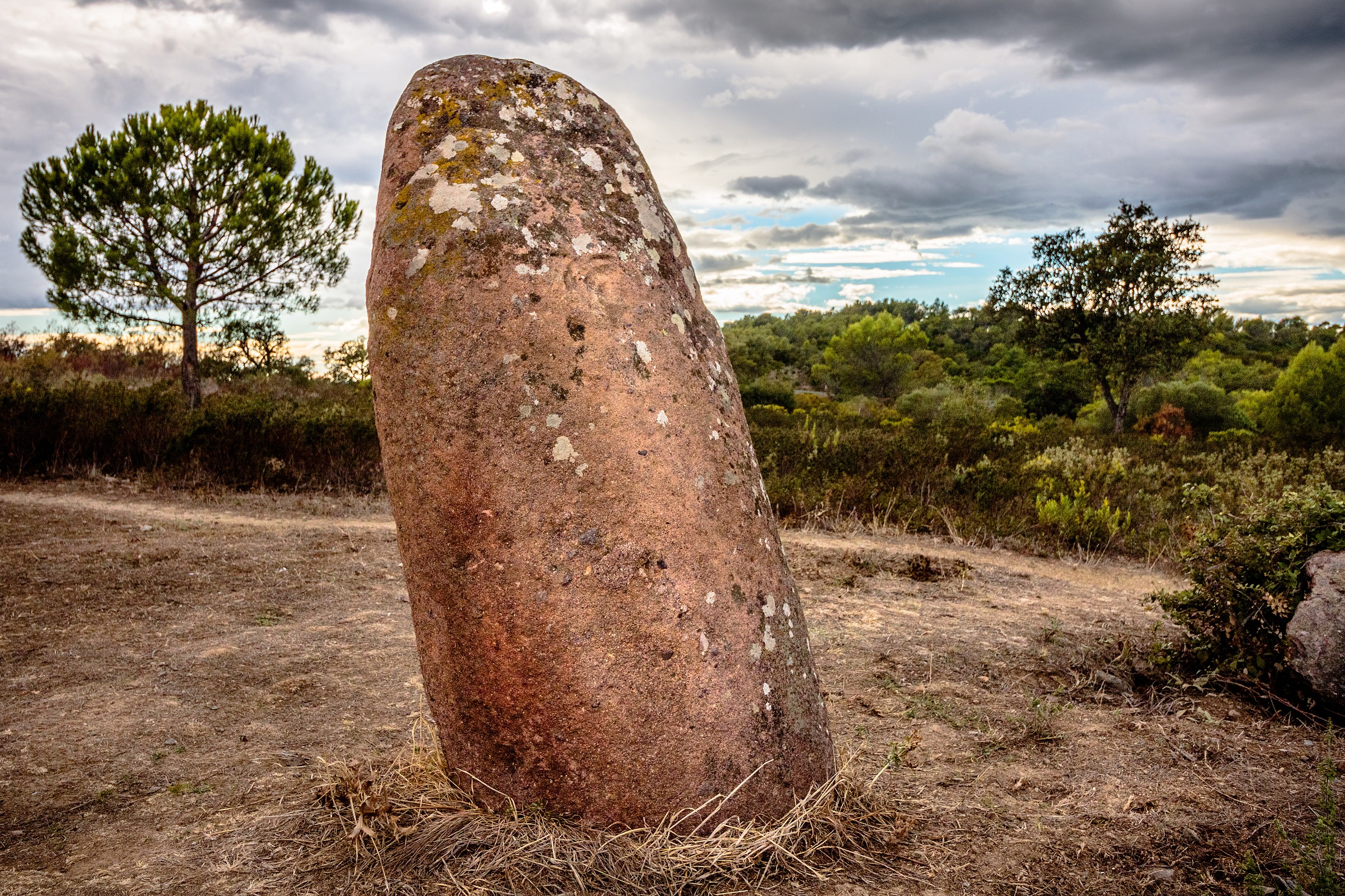 Menhir d'Aire-Peyronne par Michael Niessen