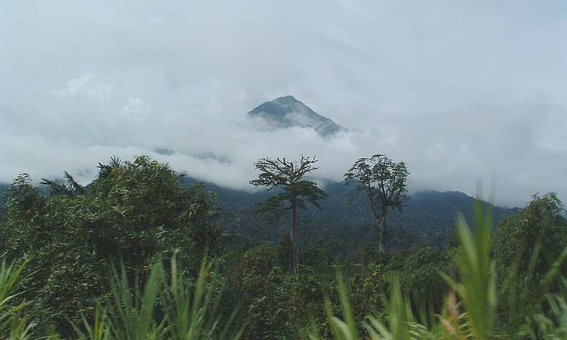 File:Mont-Cameroun (cropped).jpg