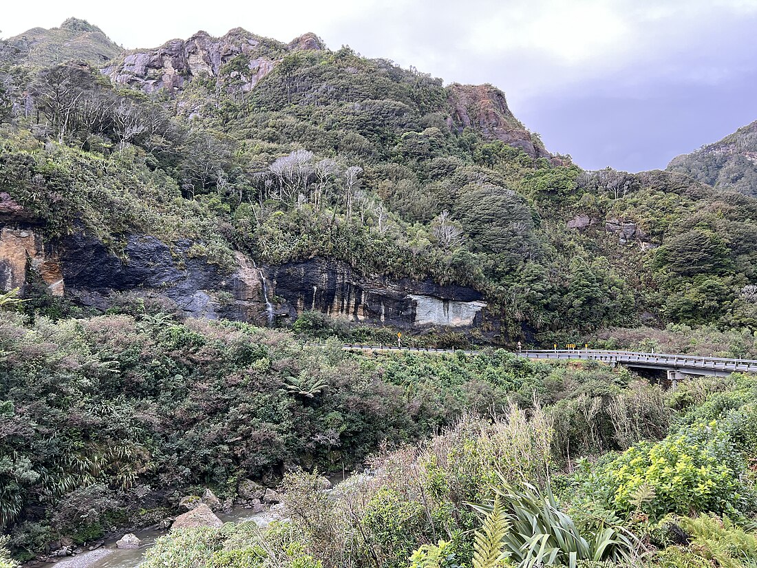 Mount George (bungtod sa Nuzeland, West Coast)