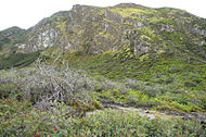 Muntele Merapi, Ijen