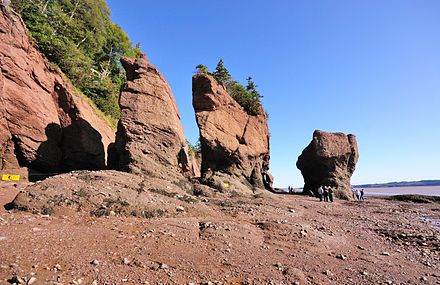 The Hopewell Rocks on the Bay of Fundy