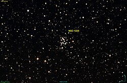 NGC 1220