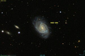 NGC 1285 SDSS.jpg