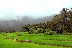 Netravali Wildlife Sanctuary - Wikipedia