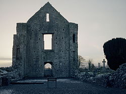 Newtown Abbey Cathedral-ŭest.jpg