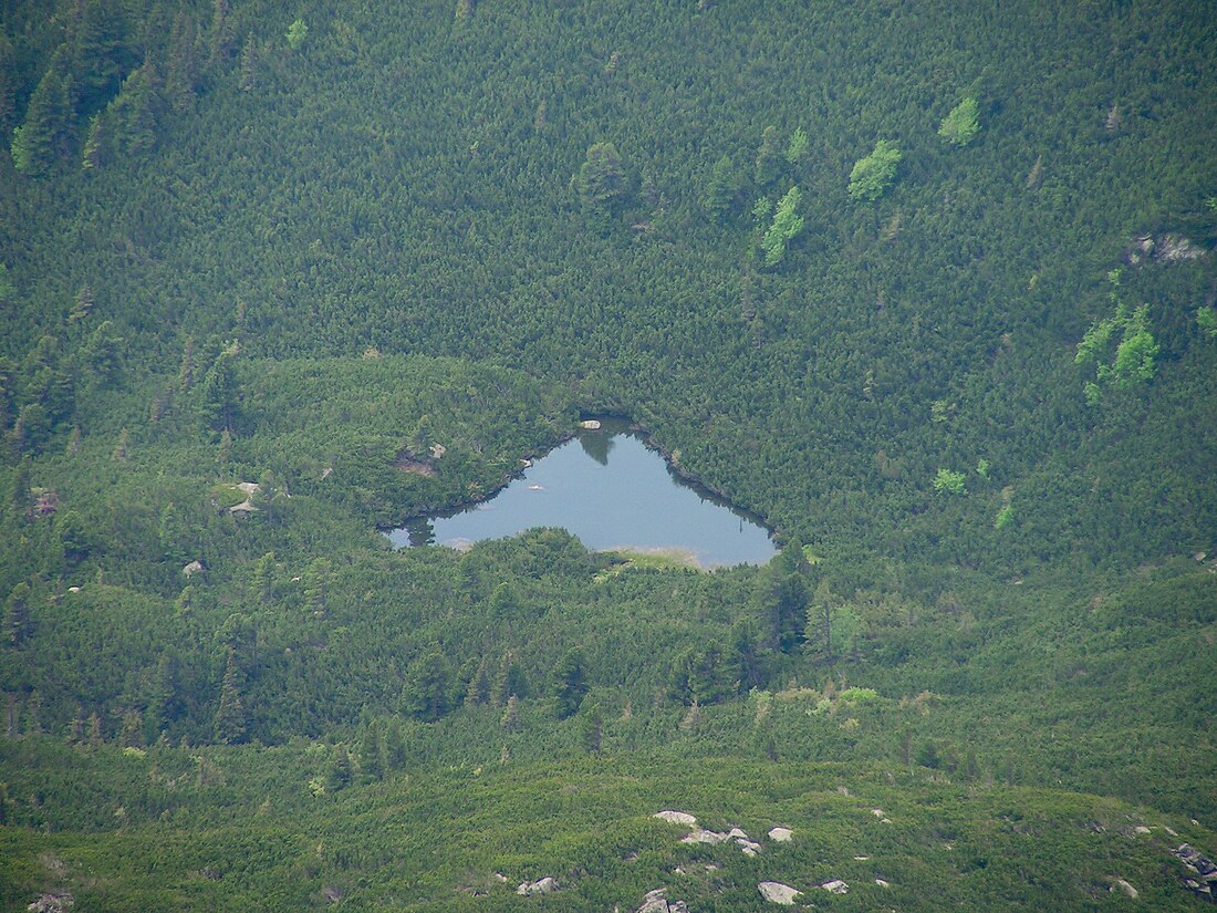 Nižné Furkotské pleso