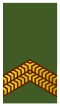 Nl-landmacht-korporaal der 1e klasse.svg