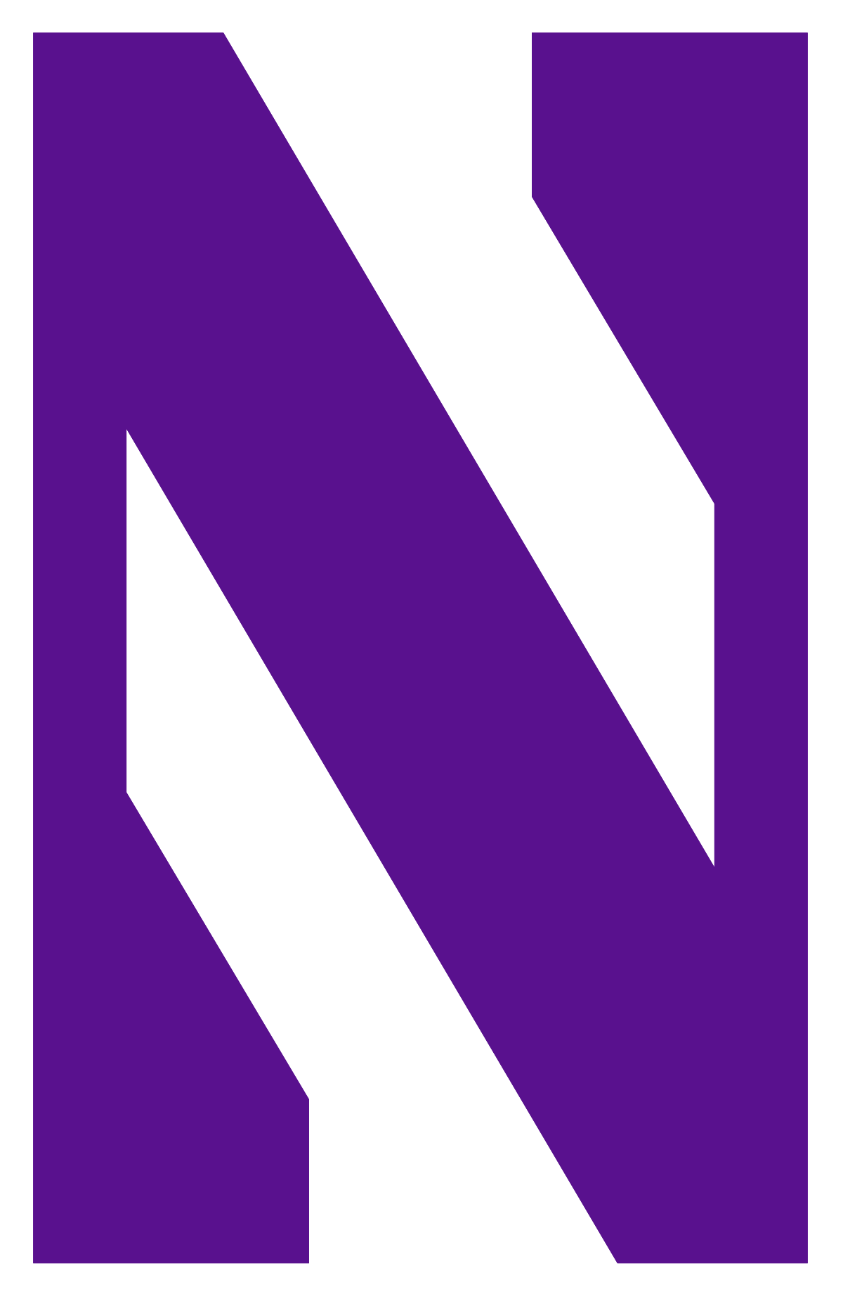 Image result for northwestern football logo