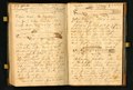 Notebook 17 of Constantine Samuel Rafinesque 1818