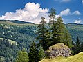 * Nomination Landscape near Obernberg am Brenner (Unterreinsalm). Larix, Picea and a rock. Tyrol, Austria --Basotxerri 19:07, 26 August 2018 (UTC) * Promotion Good quality. --GT1976 19:29, 26 August 2018 (UTC)