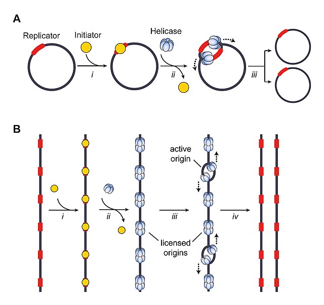 Bio Break Meaning and Origin