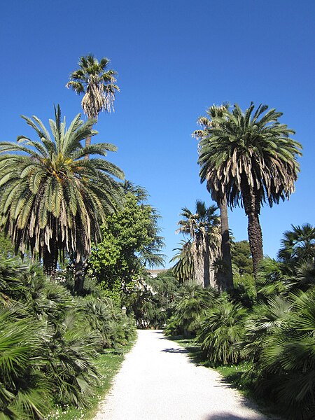 File:Orto Botanico, Rome - panoramio (1).jpg